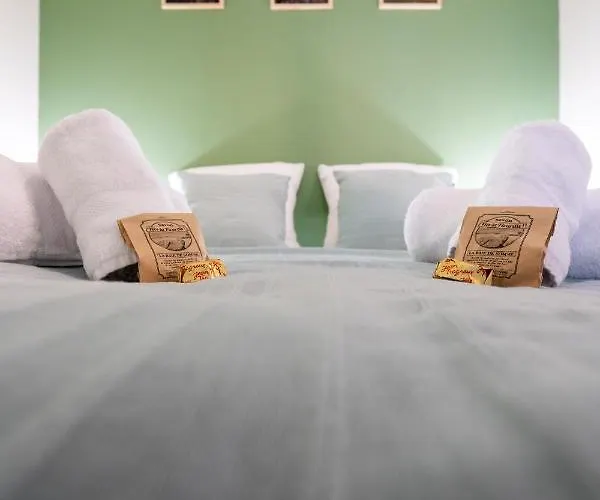 Les Hortillonnages_b&b Inn_centre Ville_terrasse_wifi_netflix * 아미앵